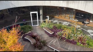 Bir kütüphane günü - Avustralya Sydney Vlog 2