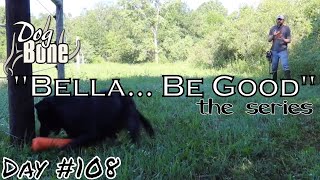 "Bella... Be Good" Teaching Gun Dog Back Command | Ep: #108