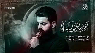اخر ليلة يمجن يابناتي //الرادود مجتبى الكعبي //كلمات محمد حلو الزيادي