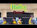Halley/Protea*(バイプロテア) 【2025年10月18日@汐留シオサイト地下歩道】