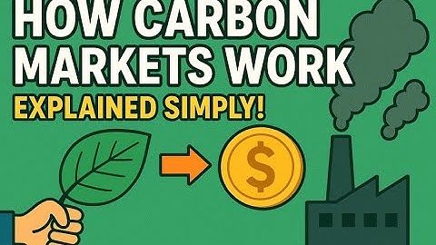 How Carbon Markets Work: Explained Simply!
