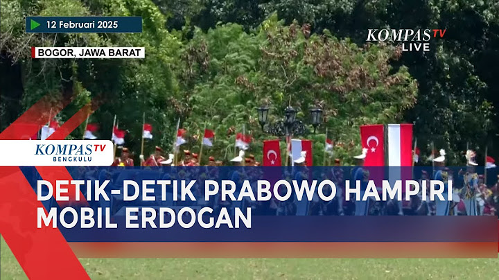 Detik-Detik Prabowo Hampiri Mobil Erdogan, Beri Sambutan Usai Tiba di Istana Bogor