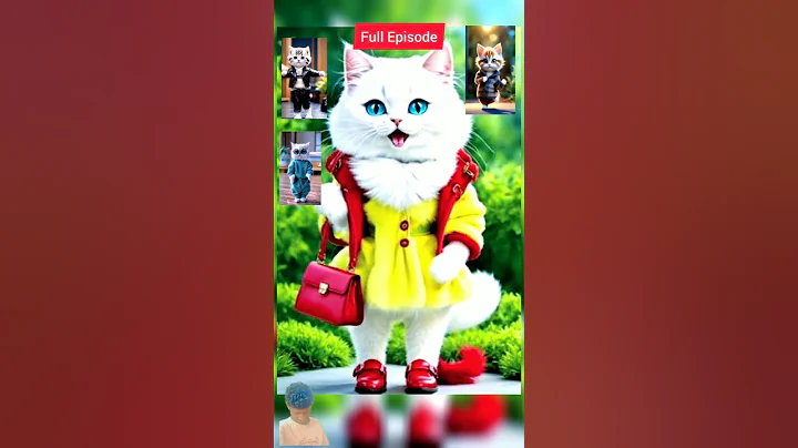 Video 10439491: kitten pets catlover kitty, cats catlover kitten kitties, pets kitty catlover funny, catlover kitty pet cute, cat kitty kitten dance