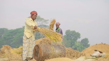The 2024 Annual Report on the Independent Evaluation of IFAD