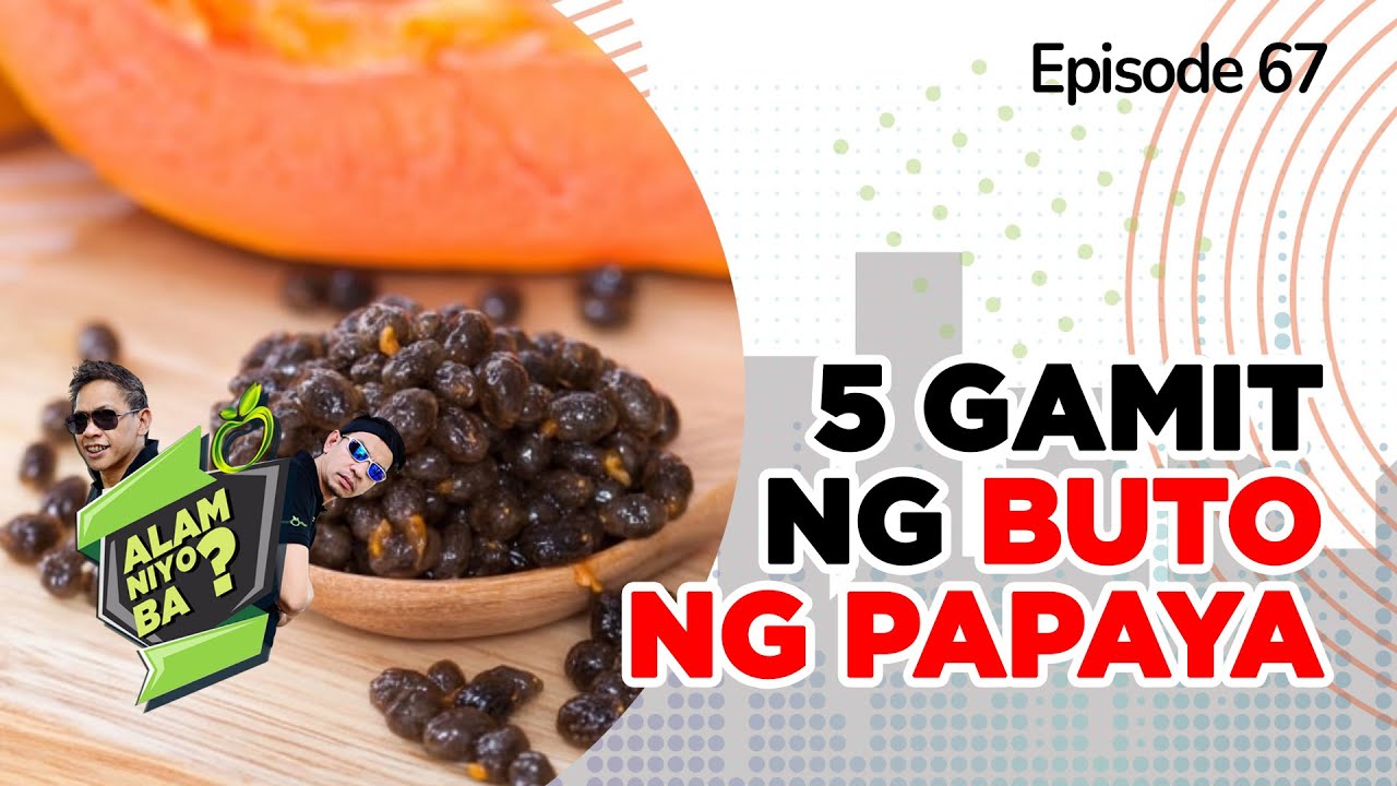 ⁣Alam Niyo Ba? Episode 67 | 5 Uses of Papaya seeds