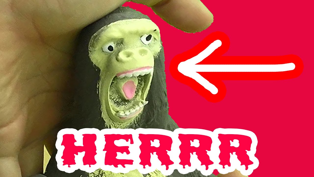 3 ALAT UNIK MENAKJUBKAN BIKIN BAHAGIA  YouTube