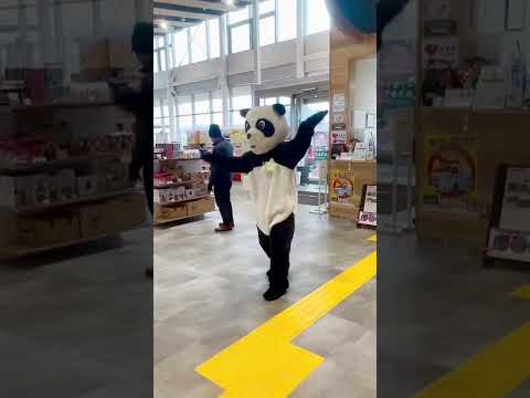 【 幸運 】レッツツイストアゲイン🎵ラッキーパンダ🐼【 所沢 】