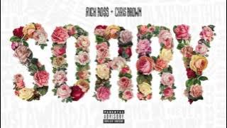 Rick Ross feat. Chris Brown 'Sorry' ( Explicit Audio)