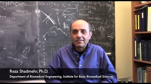 Reza Shadmehr on Rehabilitation and the Brain