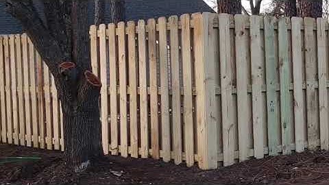 Shadowbox Fence Installation Before and After