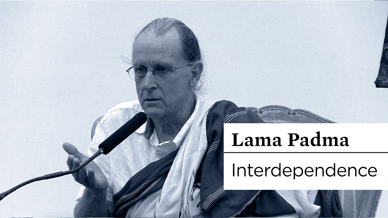 #BUDDHISM | Interdependence | Lama Padma Gyatso