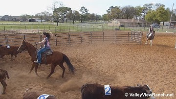 J R Smart Olena Moore and Smart Sailing Chic - sorting practice #3 - Valley View Ranch