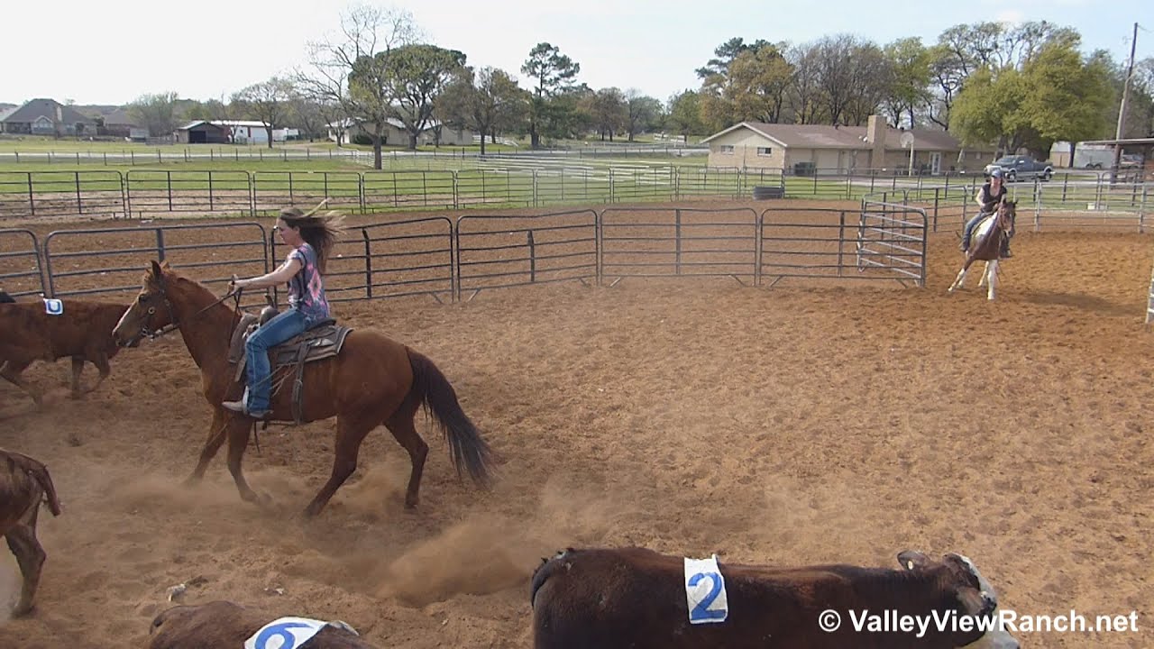 J R Smart Olena Moore and Smart Sailing Chic - sorting practice #3 - Valley View Ranch