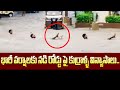 Men floats on flooded streets, video goes viral
