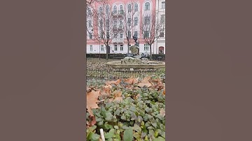 Respect #citytransport #shorts #buses #respekt #trolleybuses #trams