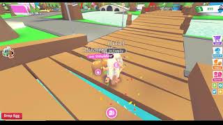 How To Hatch A Unicorn In Adopt Me Herunterladen - roblox adopt me how to get unicorn by hacking