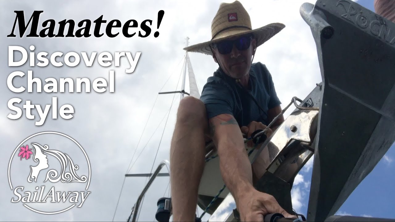 SailAway 29 | Sailing With Manatees Discovery Channel Style! | Sailboat Living Sailing Vlog