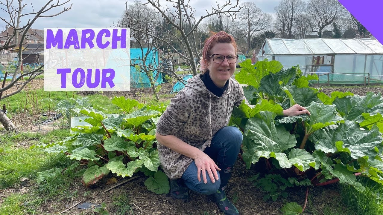 March Allotment Tour - Allotment Gardening For Beginners UK - YouTube