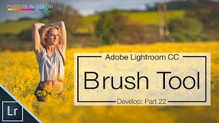 Lightroom 6 tutorial - How to use the Lightroom Brush Tool
