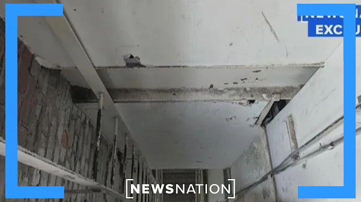 Billingsley returned to murder scene Sunday: Neighbor of tech CEO | Banfield