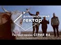 Дальневосточный гектар | 4 серия | Самое дальнее село