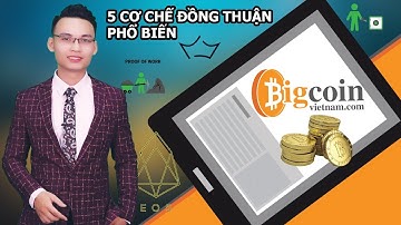 [Phân Tích] Top 5 cơ chế đồng thuận Blockchain (Leased Proof of Stake, Proof of Important,...)