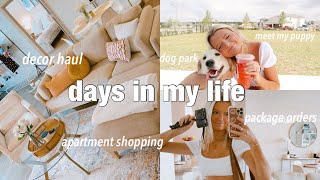DAYS IN MY LIFE VLOG: apartment shopping, meet my puppy, summer decor haul, package orders & more! by Maddie Burch 1,371 views 2 years ago 20 minutes