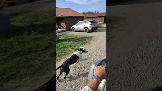 First Look at The Lamb Ranch! Wealth