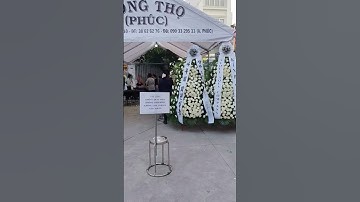 Rất Nhiều Diễn Viên Đã Bật Khóc Khi Nghe Tin NSUT Ngọc Trinh Qua Đời #shortvideo