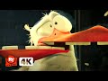Storks (2014) 4K - HILARIOUS! Birds Can't See Glass (7/10) | Movieclips