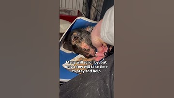 For any support Link in our channel description to donate Every little bit counts