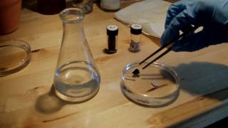Alkali Metals - Lithium and Sodium