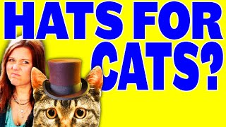 WHAT CAN WE LEARN FROM FAILED KICKSTARTER CAMPAIGNS?  - Digitiser