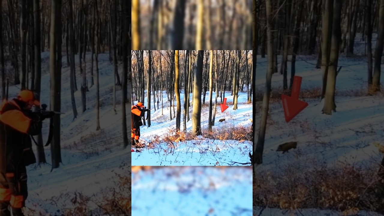 Охота на кабана в снегу ❄️ | Лучший выстрел всех времен.          