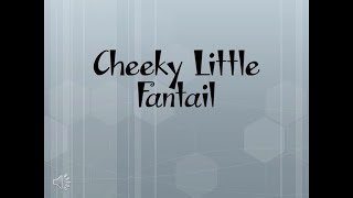 Video thumbnail of "Cheeky Little Fantail"