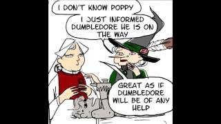 Dumbledore is the smartest wizard in the world