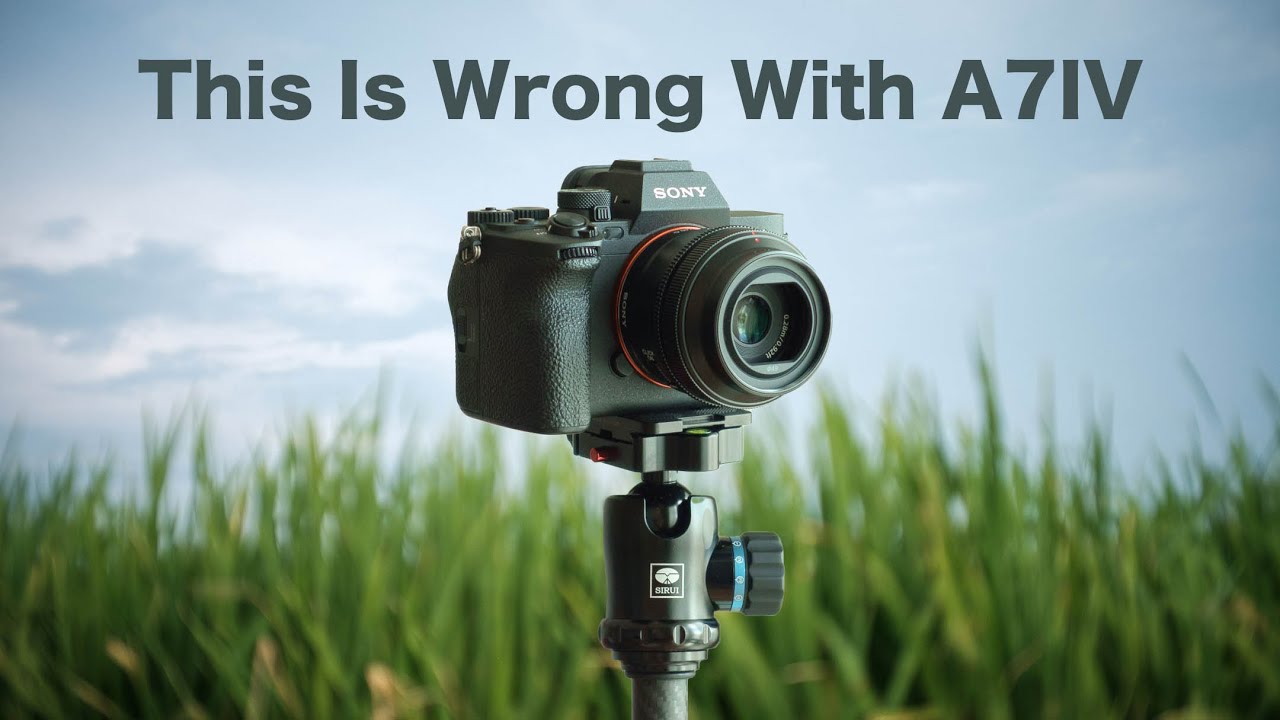 Sony A7IV Photo and Video Review — JULIA TROTTI