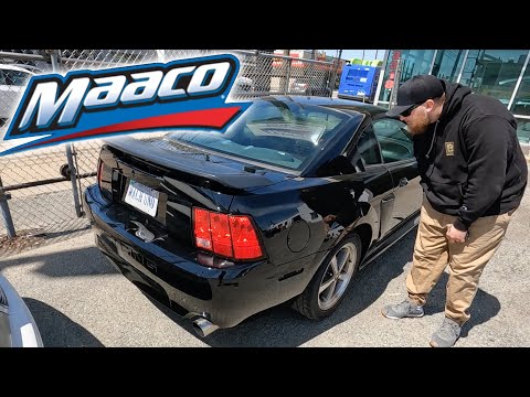 Maaco Paint Shop