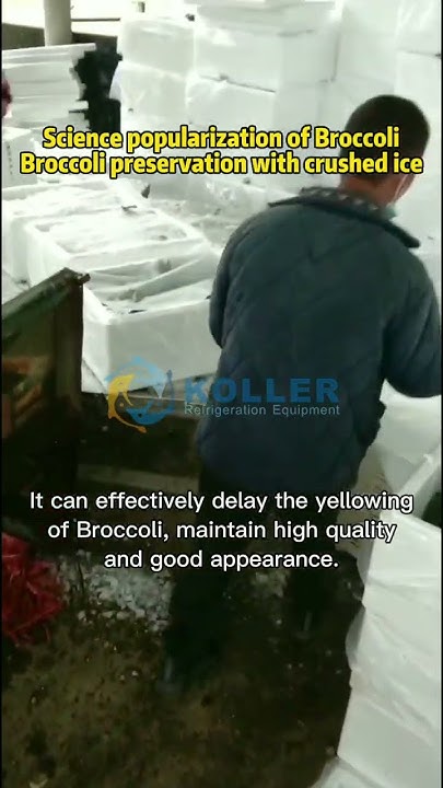 how-to-keep-broccoli-fresh-with-crushed-ice-youtube