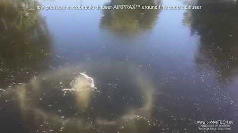Microbubble aeration hose around fine bubble diffuser | bubbleTECH.eu