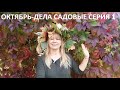 Октябрь - дела садовые серия № 1.