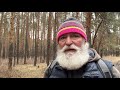 Сила леса ключ к ЗДОРОВЬЮ Сила леса ключ к ЗДОРОВЬЮ