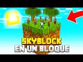 MINECRAFT SKYBLOCK pero EMPIEZO en un SOLO BLOQUE 5 🌎😱 MINECRAFT ALEATORIO