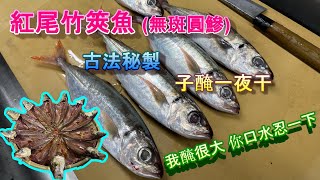 【子醃法一夜干】與郭師傅在漁市撿到寶，不常見又美味的紅尾竹筴魚，讓郭師傅示範什麼叫做＂失去意識流＂等級的美味一夜干製作方式《マアジの一夜干し精卵盐漬》《味留一升庵》《郭宗坤師傅》