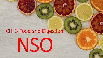 NSO CH: 3| FOOD AND DIGESTION| CLASS: 4|