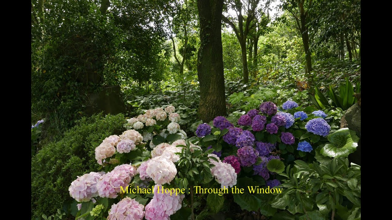 Mira Michael Hoppe : Through the Window en YouTube Mira Michael Hoppe : Through the Window en YouTube