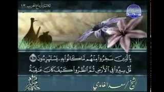 complete Quran Arabic Juz'  7  Shaikh Saad Al Ghamdi