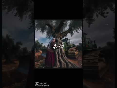 فلسطيني غصبن عن الكل
