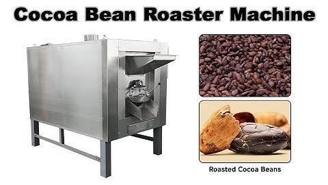 Rotary Drum Type Coffee and Cocoa Roaster|100 KG Gas Electric Heating Cocoa Bean Roaster Machine