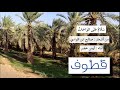سلام على الواحات ا قطوف ا من أشعار صالح ابن الوادي ا إلقاء أيمن خضر